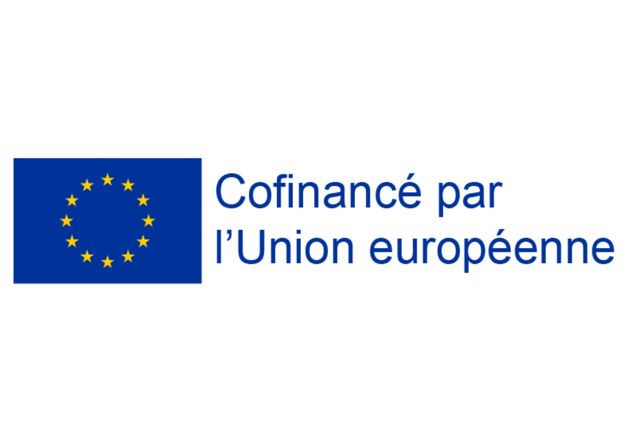 FSE Logo du Cofinancement par l'Union Européenne
